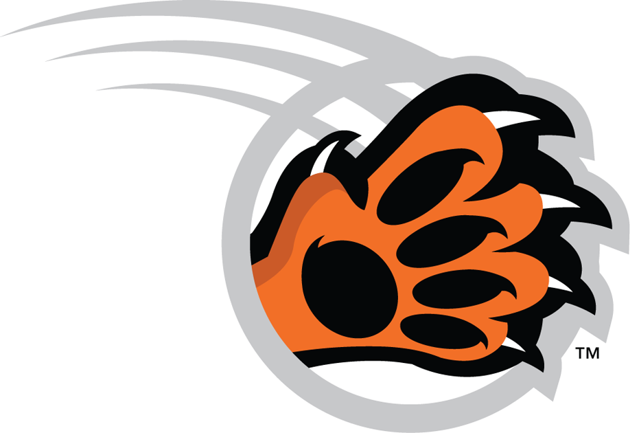 RIT Tigers 2004-Pres Alternate Logo v4 diy fabric transfer